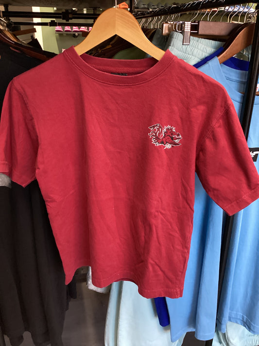 Youth Carolina Gamecocks Tee