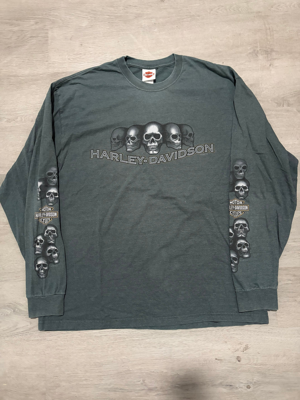 Vintage Y2K Harley Davidson Skulls Troy New York Long Sleeve Tee