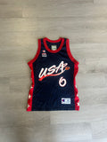 Vintage  Champion Team USA Anfernee Hardaway Basketball Jersey