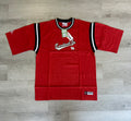 Chase Authentics Dale Earnhardt Jr. NASCAR Jersey