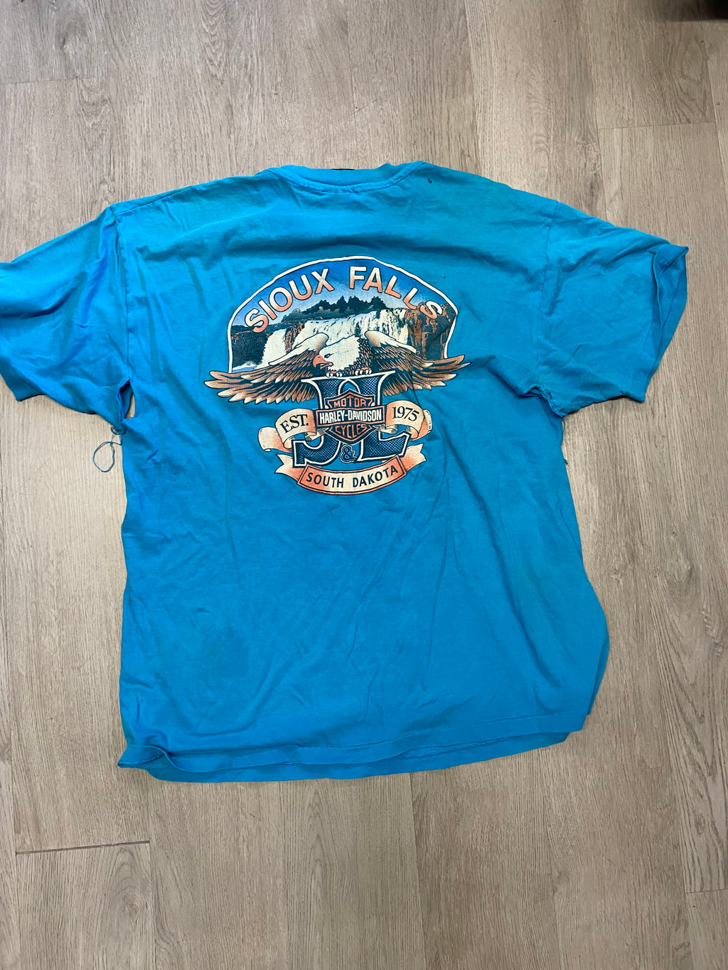 Harley Davidson Blue Riders Choice Distressed Tee