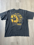 Vintage South Pole Technical Tee