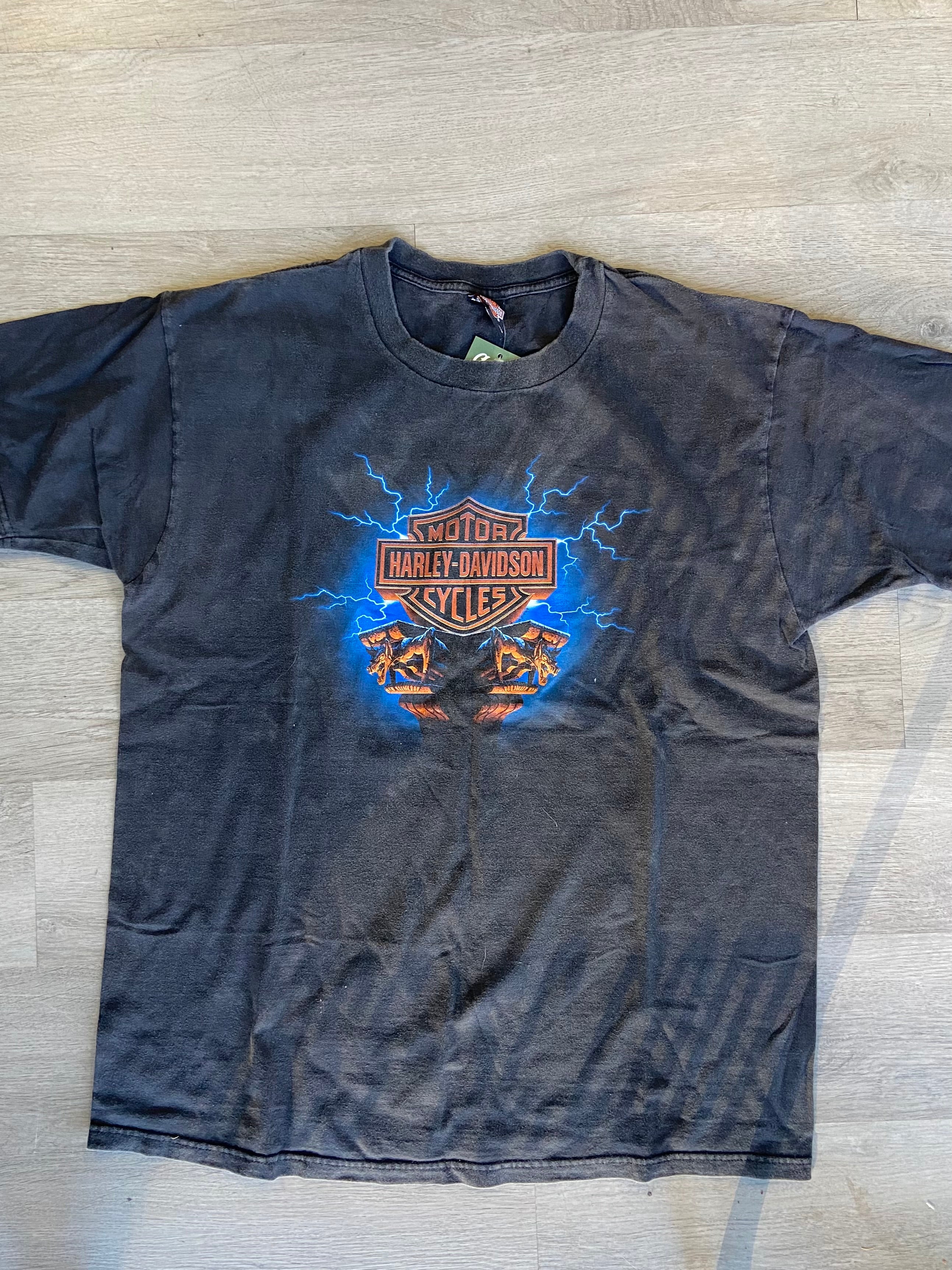 2002 Ozark Harley Davidson Lebanon, Missouri Bike