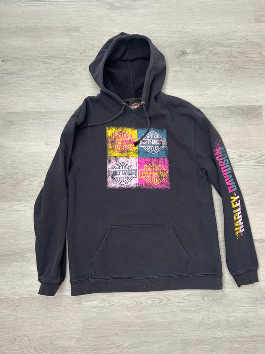 Youth Harley Davidson Greenville SC Hoodie