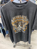 Harley Davidson Smoky Mountains Shirt