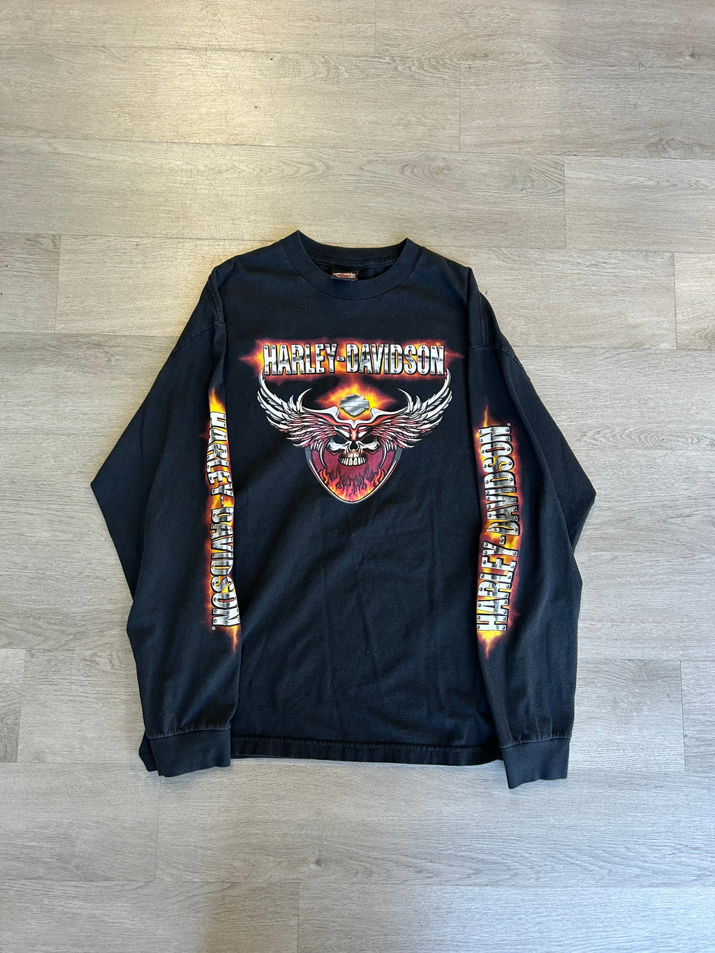 Vintage Harley Davidson Skull & Wings Tee