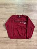 Vintage UofSC Founded In 1801 Crewneck