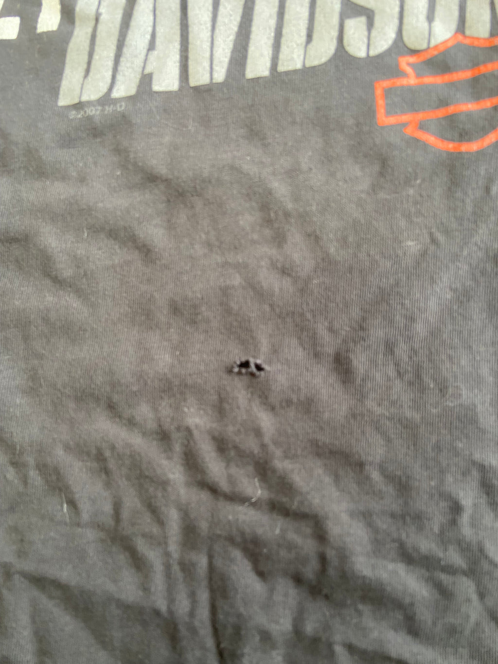 Vintage Black Faded & Distressed Harley Davidson Lake Shore Tee