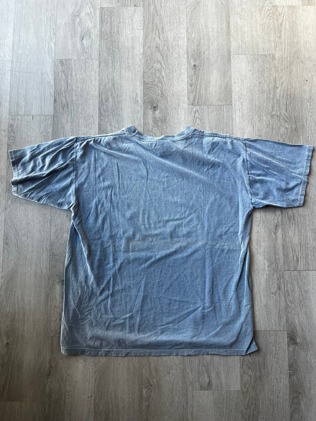 Vintage Universal Studios Dinosaur Tee