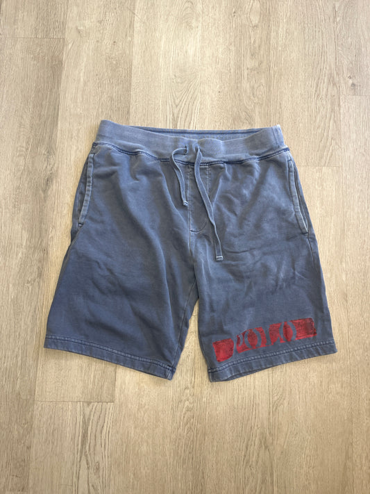 Polo Ralph Lauren Indigo Blue Shorts