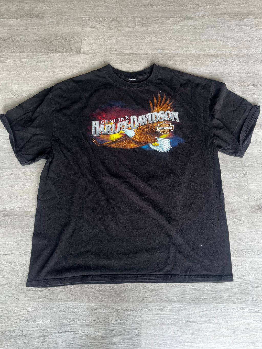 Vintage Harley Davidson Eagle Flames Tee