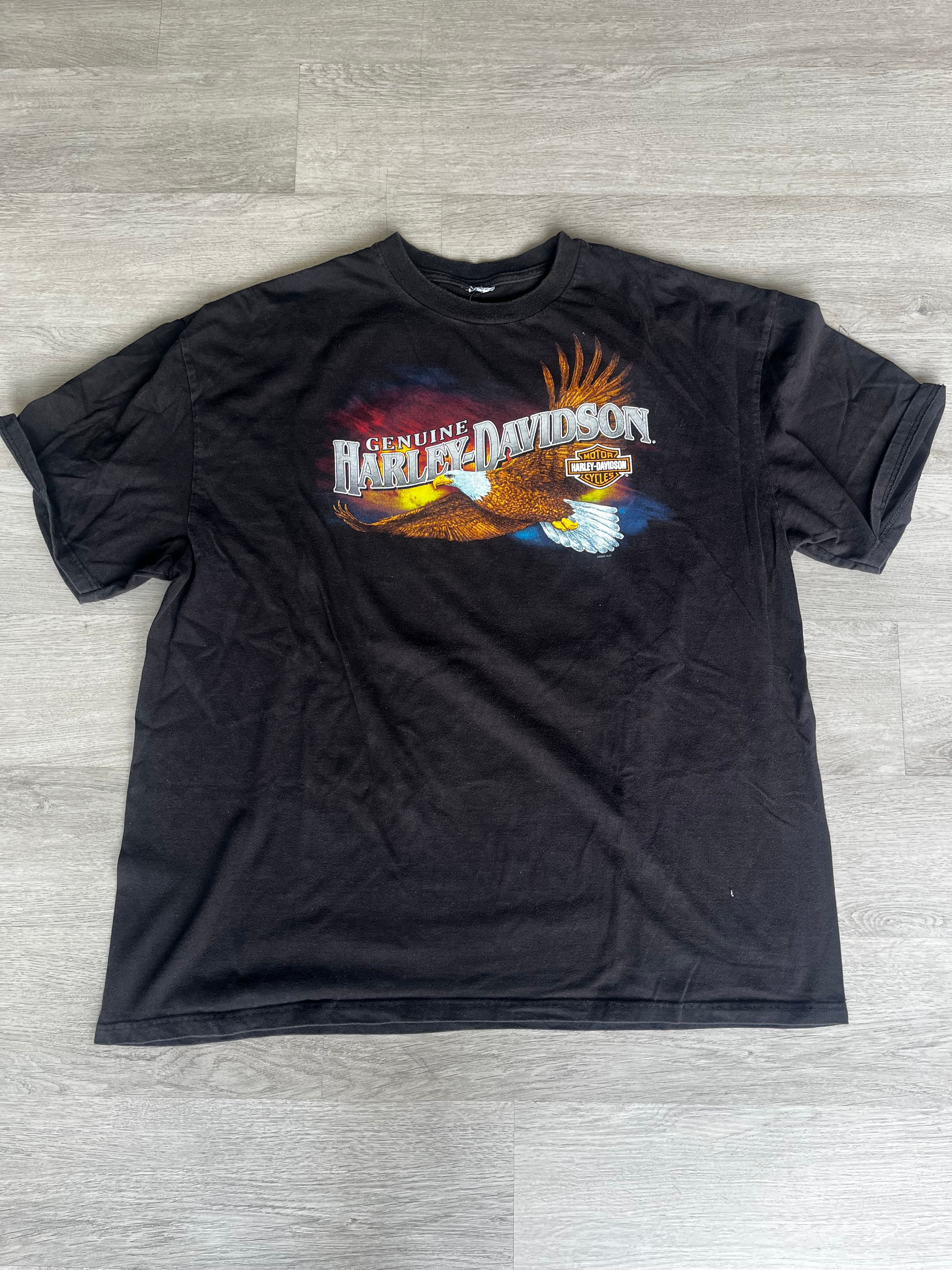 Vintage Harley Davidson Eagle Flames Tee