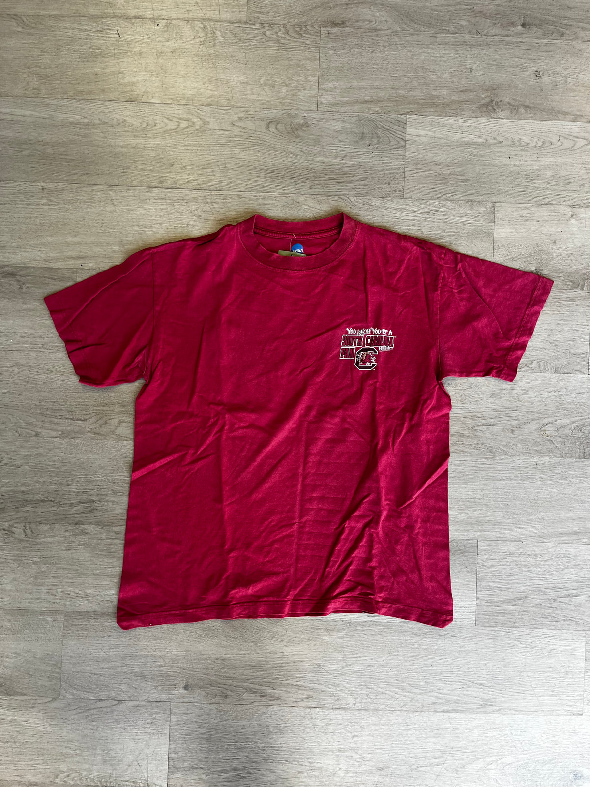 Vintage South Carolina Gamecocks You Know You're a South Carolina Fan When Tee