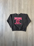 Vintage 90s University Of South Carolina Gamecocks Sweatshirt