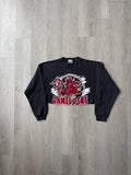 Vintage 90s University Of South Carolina Gamecocks Cropped Sweatshirt