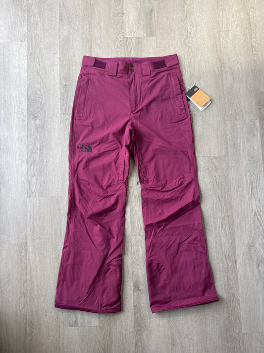 The North Face Freedom Stretch Snow Ski Snowboard DryVent Boysenberry Pants