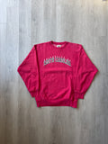 Vintage 90s University Of South Carolina Gamecocks Reverse Weave Sweatshirt