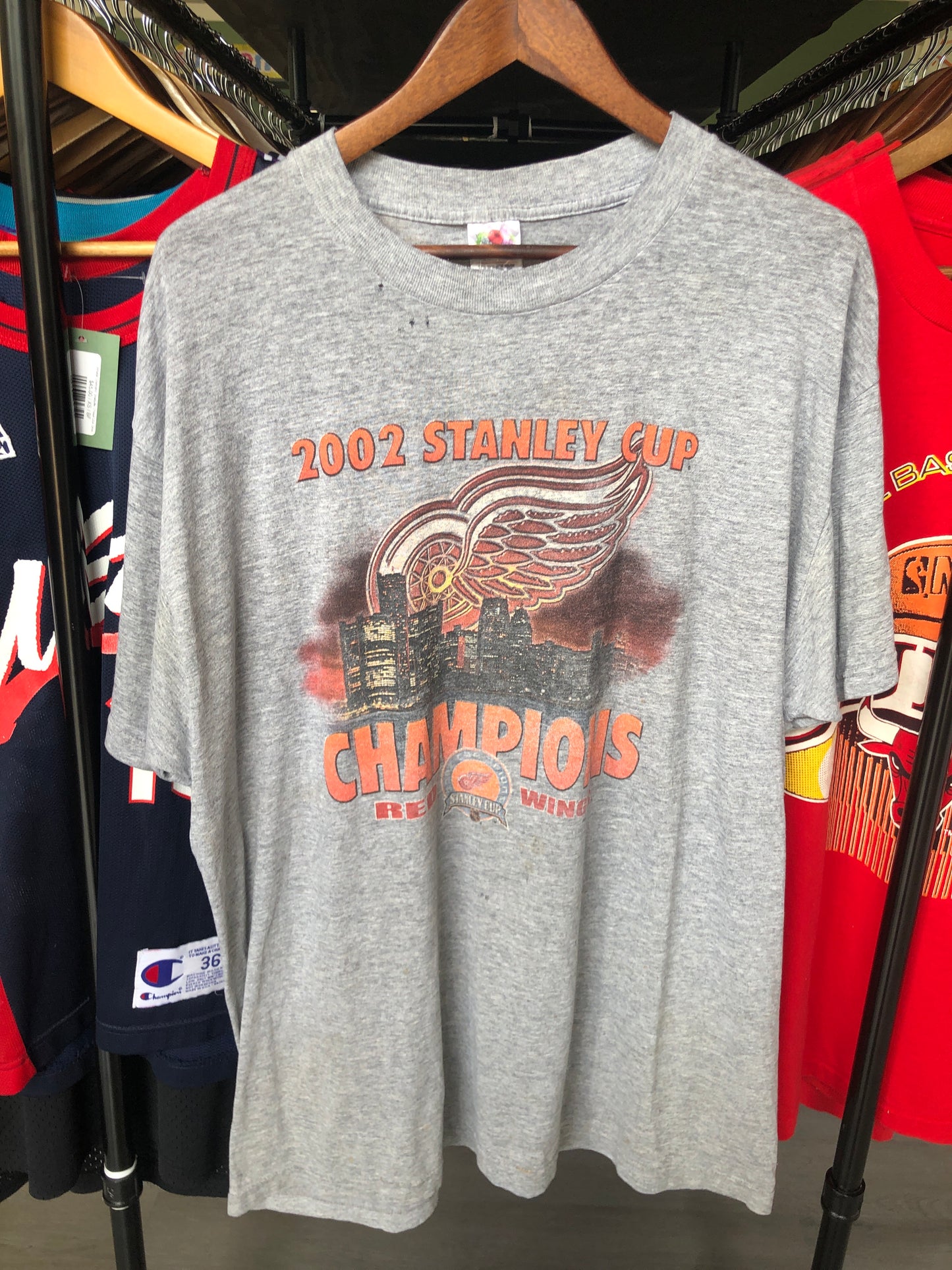 2002 Detroit Red Wings Stanley Cup Tee