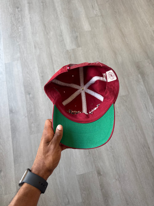 47 Brand University Of South Carolina Gamecocks Snapback Hat