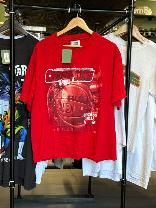 Vintage 1998 Chicago Champions Tee