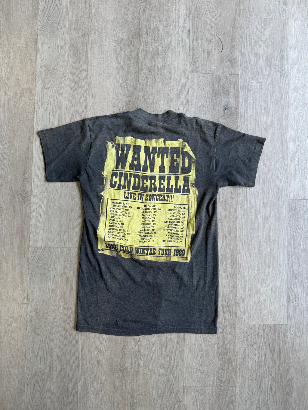 Vintage Cinderella Concert Band Tee