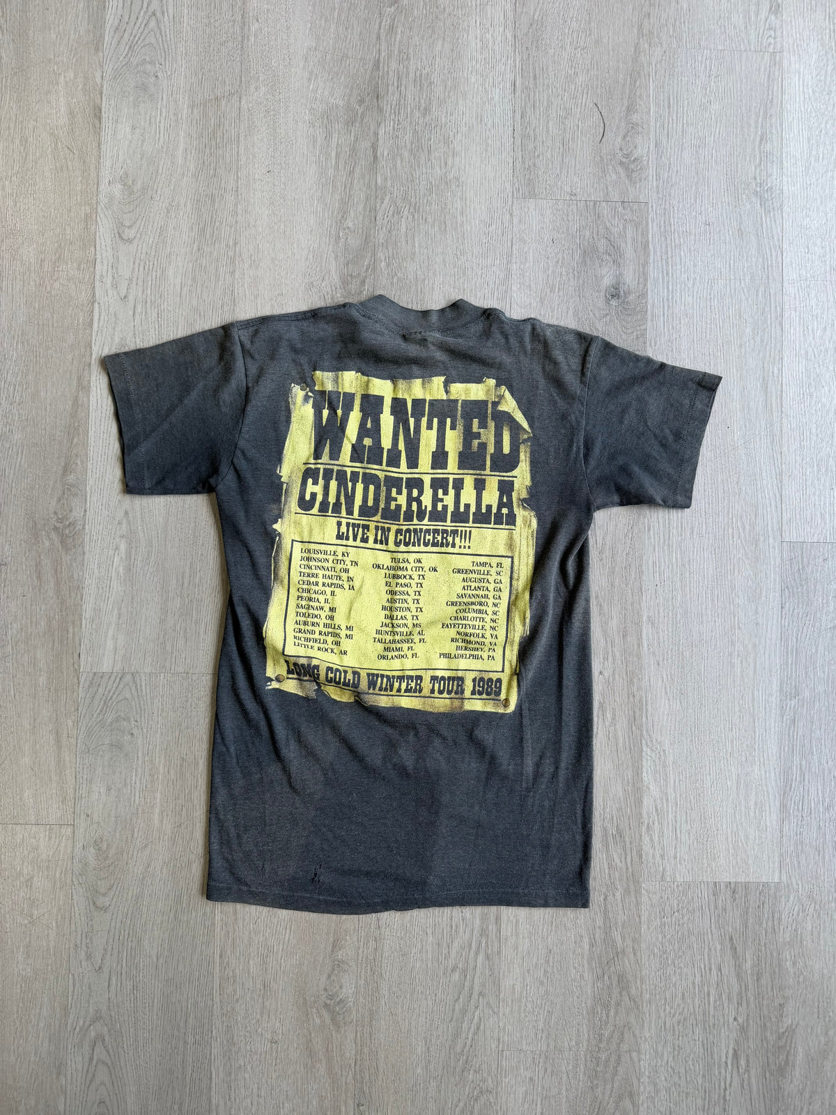 Vintage Cinderella Concert Band Tee