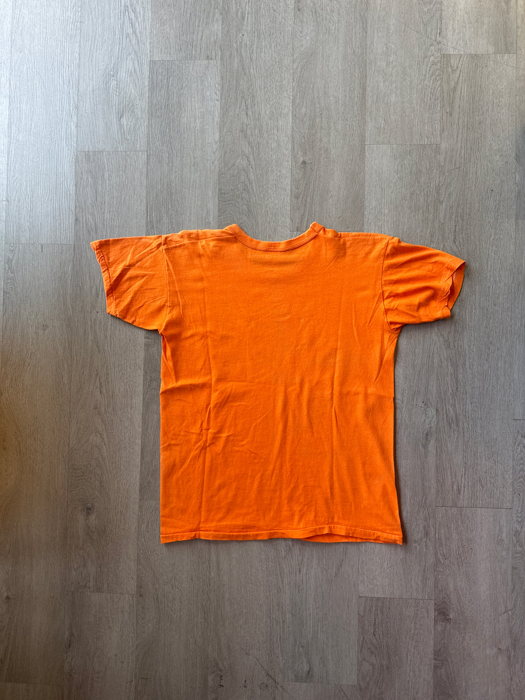 Vintage 80s Russell Athletics University Of Clemson Tigers Gamecocks Diss Tee
