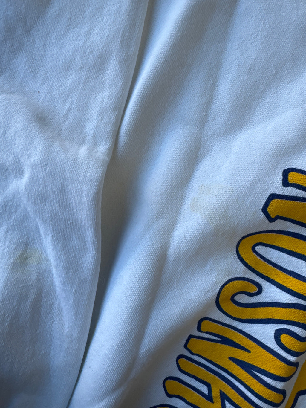 Vintage Johnson C. Smith University Bulls Sweatshirt