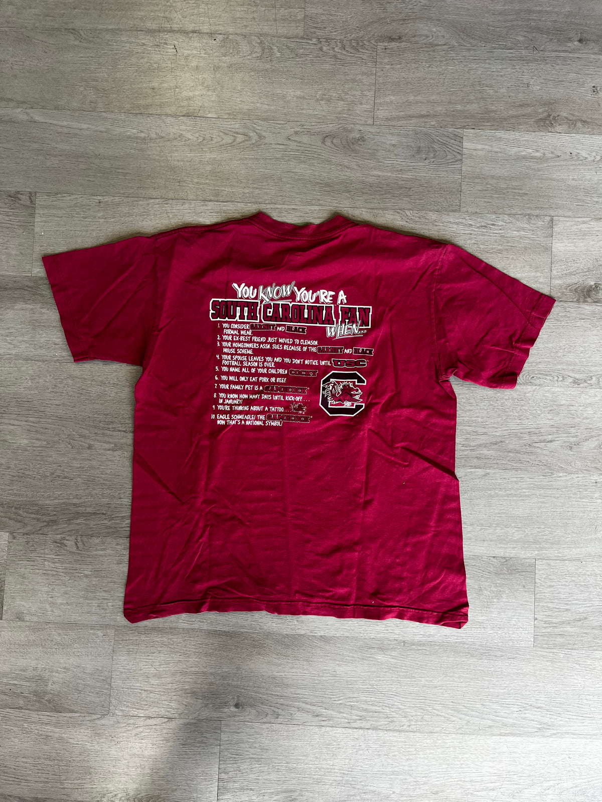 Vintage South Carolina Gamecocks You Know You're a South Carolina Fan When Tee