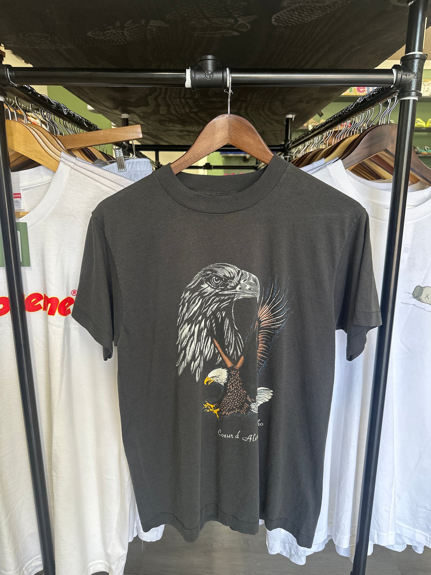 Vintage Idaho Eagle Tee