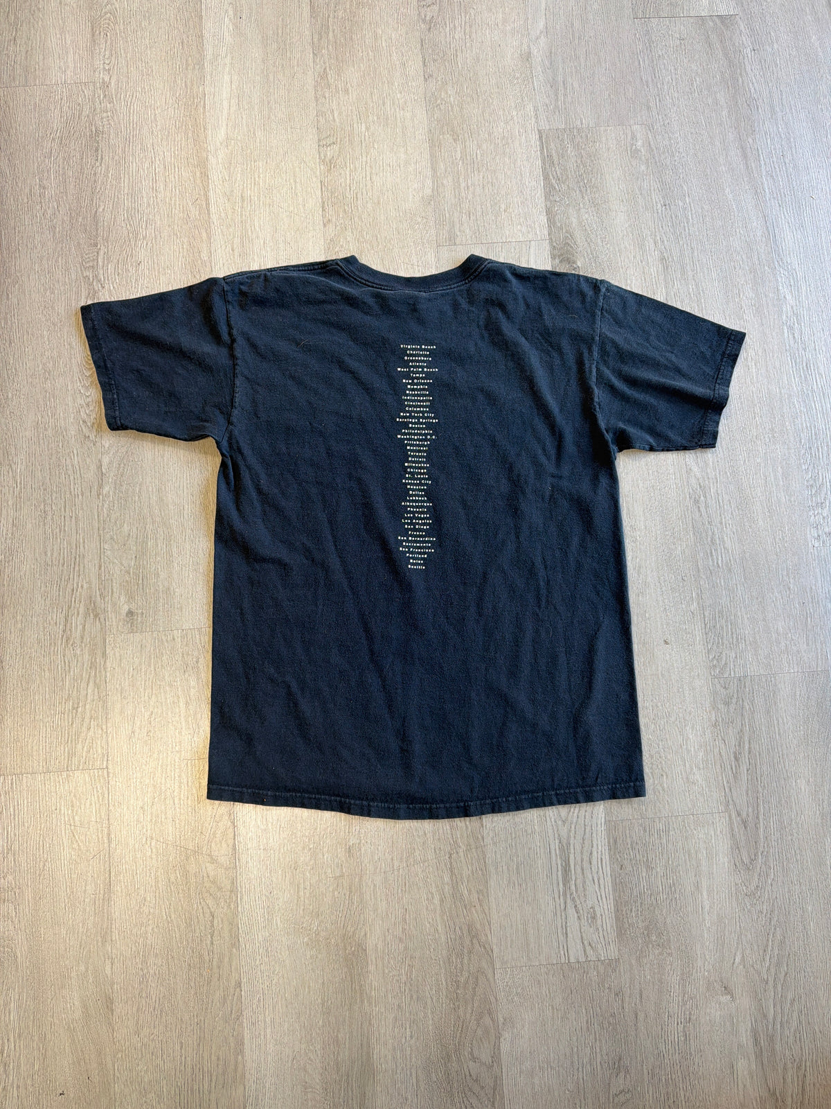 Vintage 2000s Pearl Jam Binaural Tour Tee