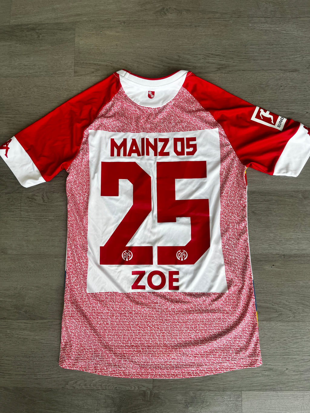 Limited Edition 2020-21 FSV Mainz 05 Carnival Jersey