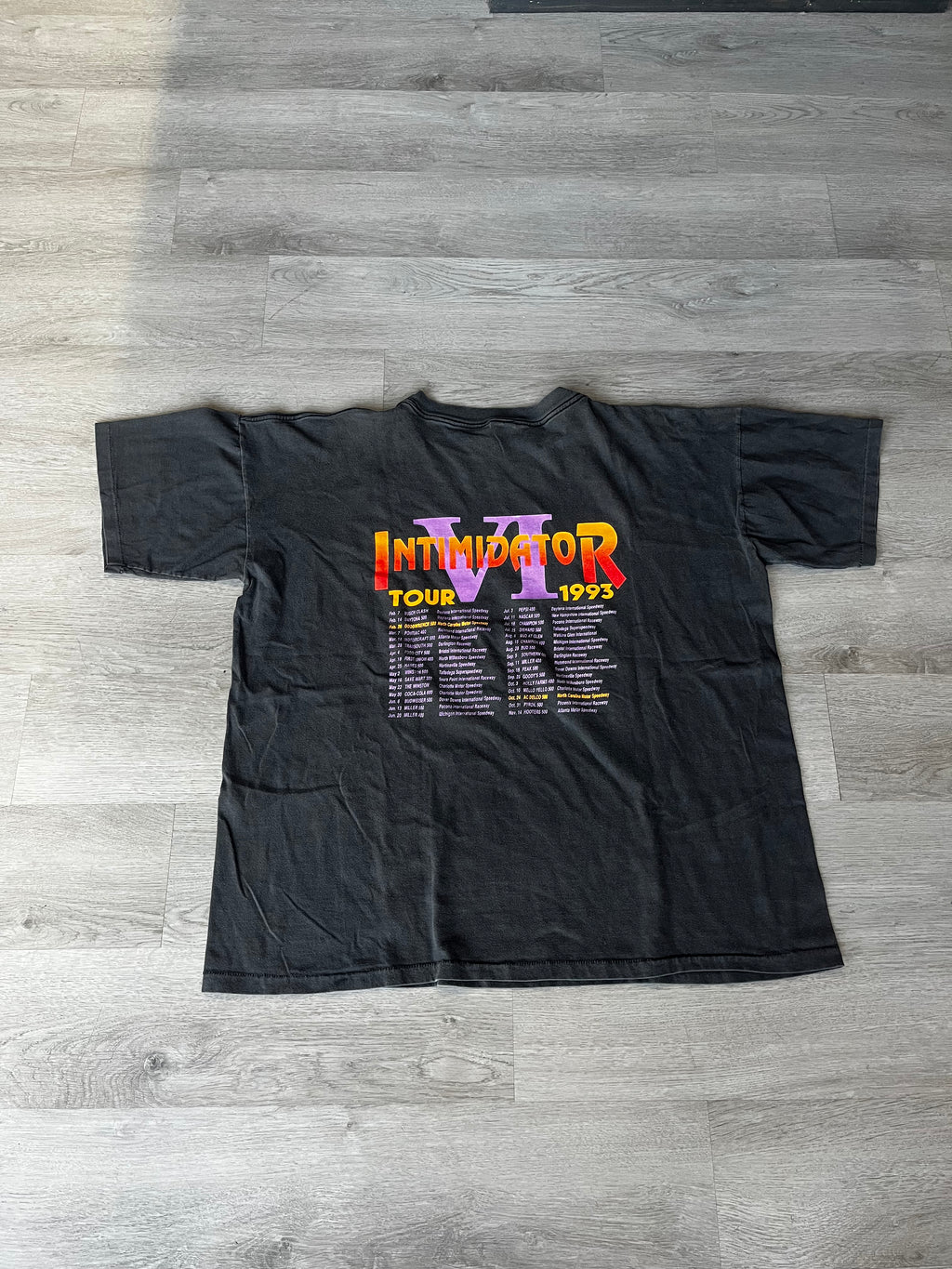 Vintage 1993 Intimidator 6 Tour Short-Sleeve Tee