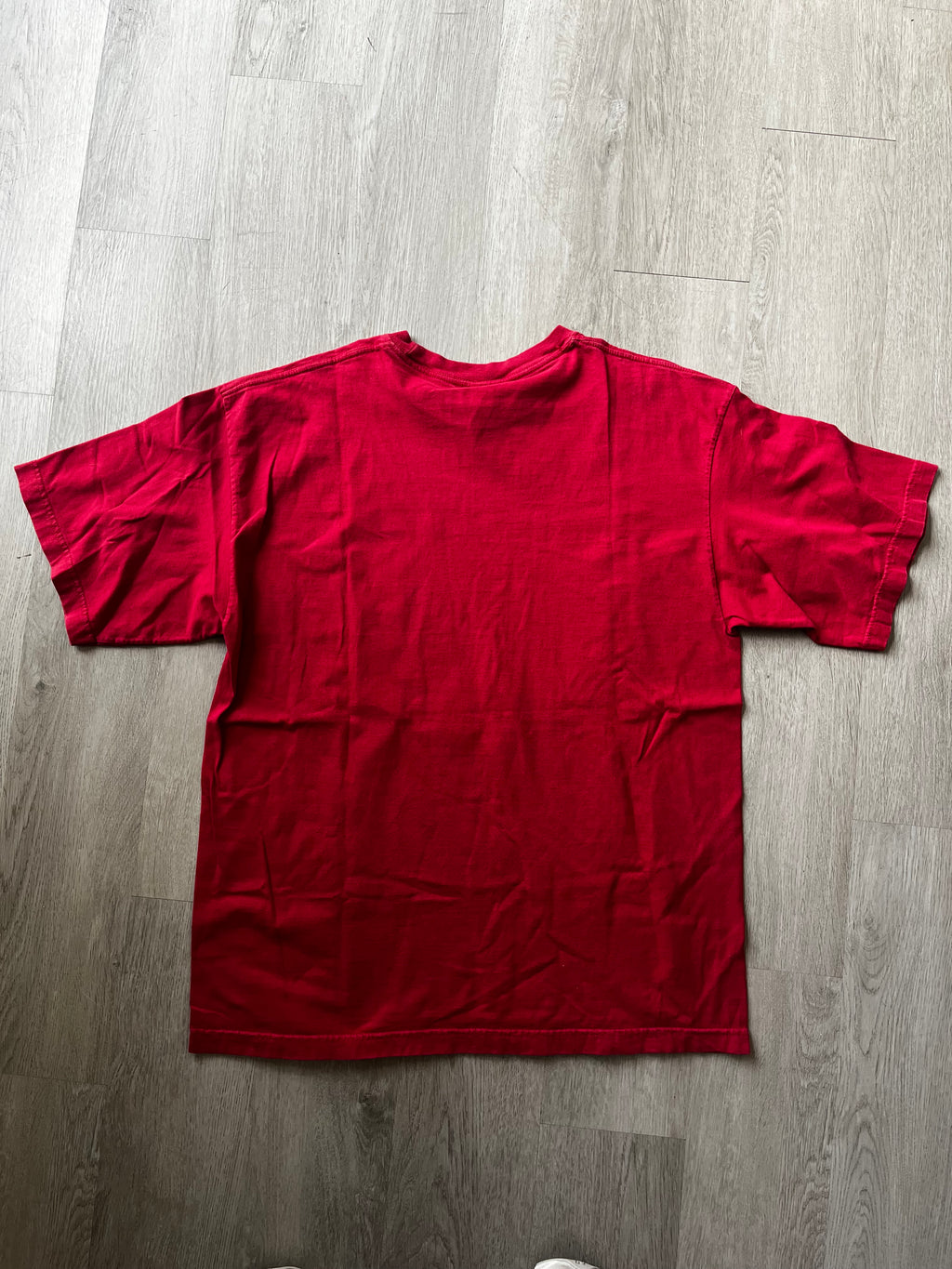 Vintage Starter University of South Carolina Tee