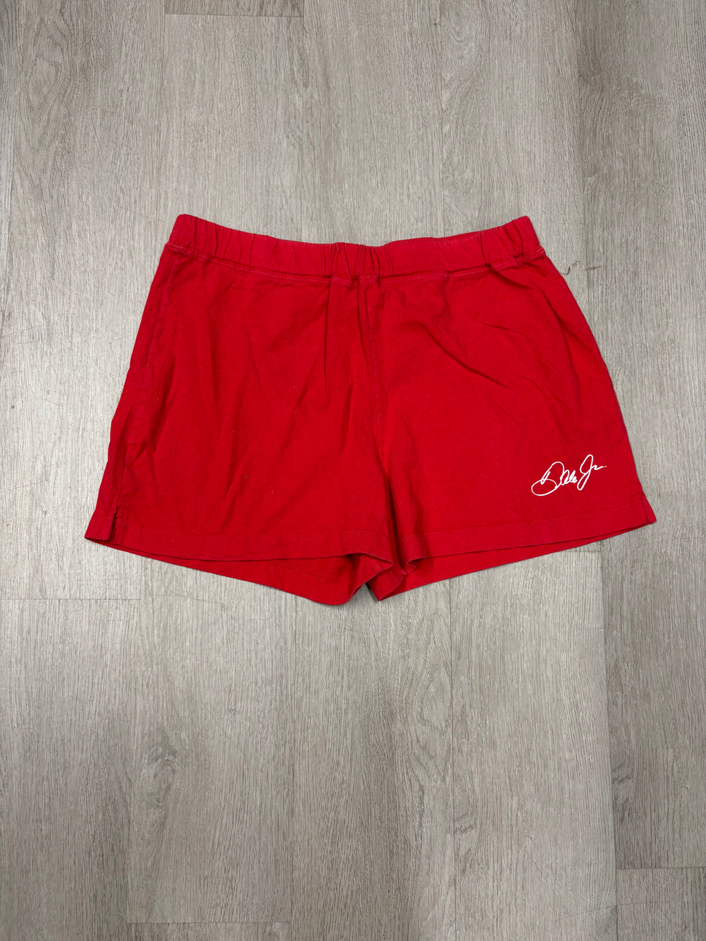 Vintage NASCAR Dale Jr Shorts