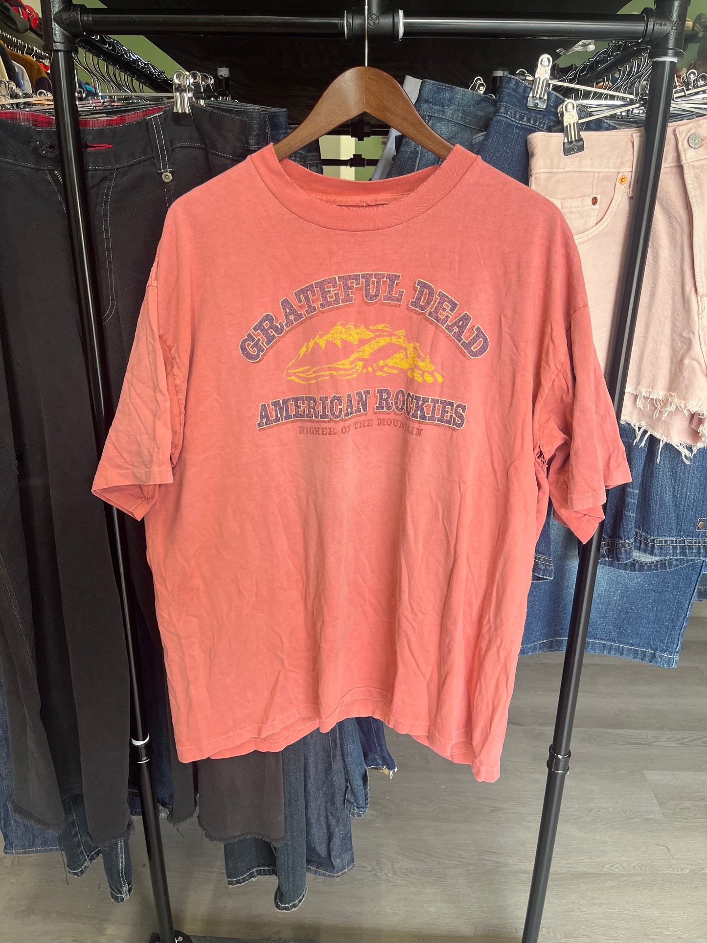 Vintage Grateful Dead American Rockies Tee