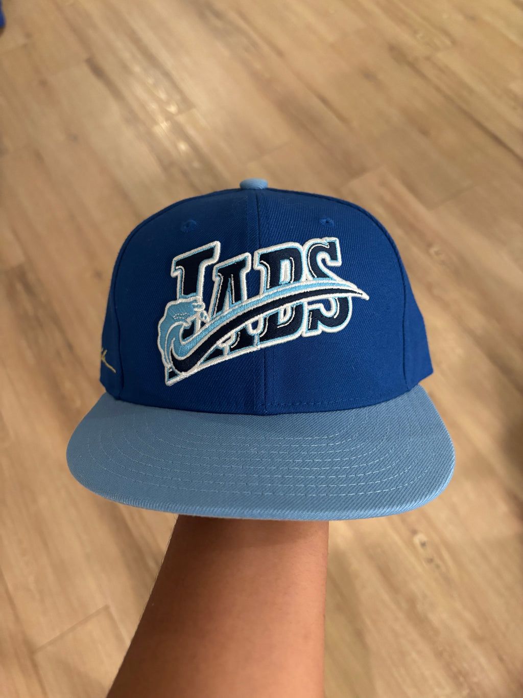 Kapitol Arts Labs Hat