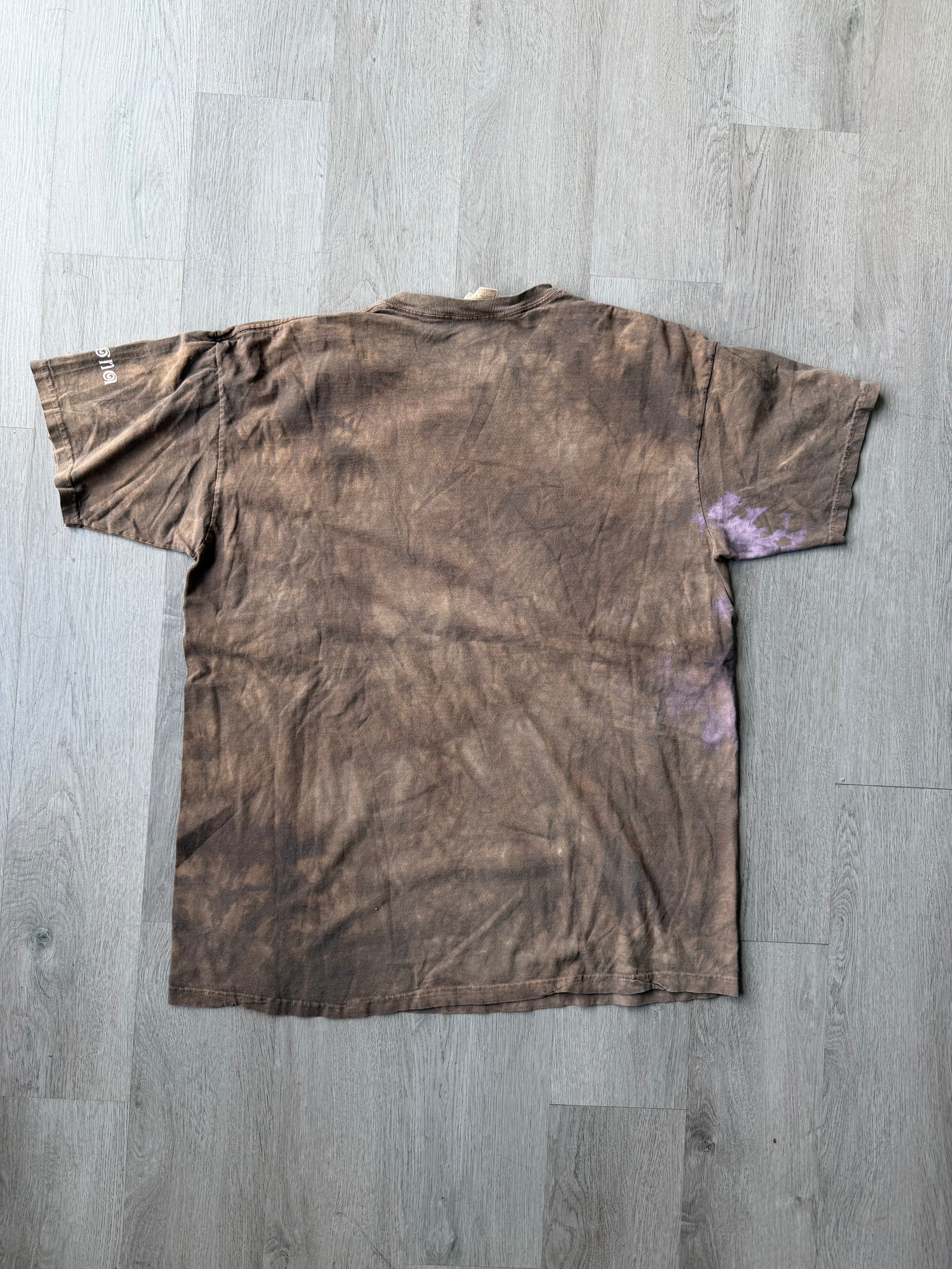 Vintage Arizona Eagle Tee