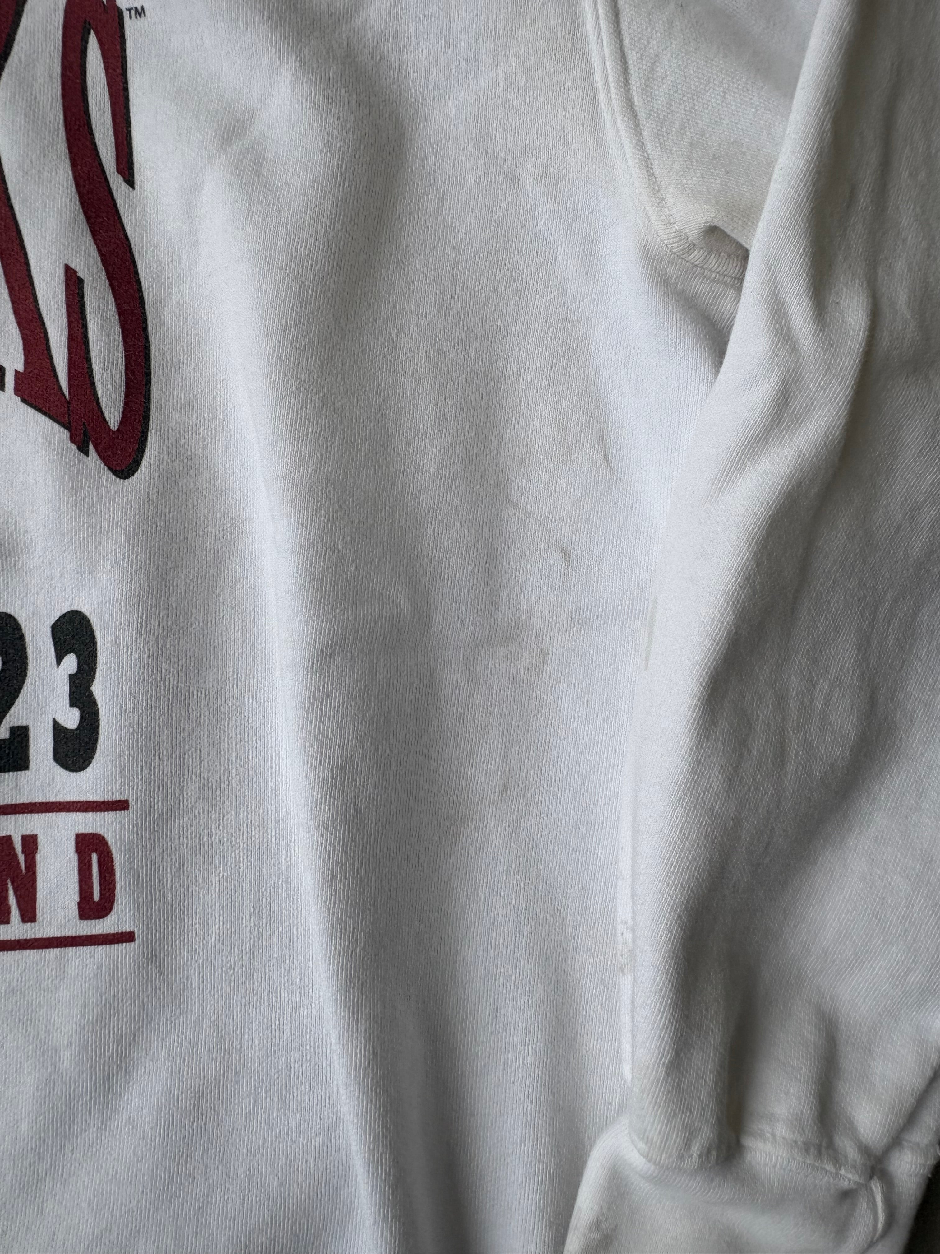University of South Carolina Delta Zeta Crewneck