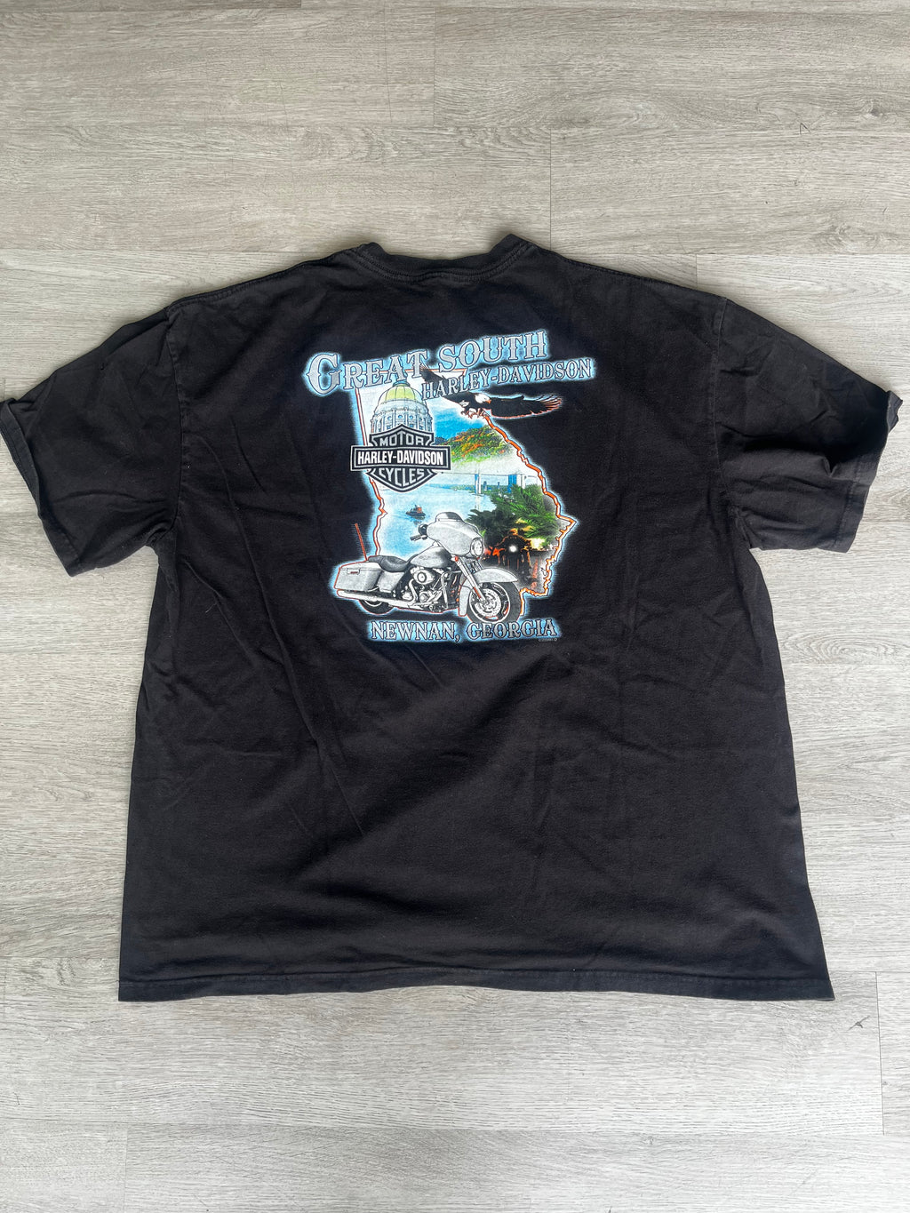 Vintage Harley Davidson Eagle Flames Tee