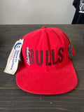 Vintage Chicago Bulls SnapBack Hat
