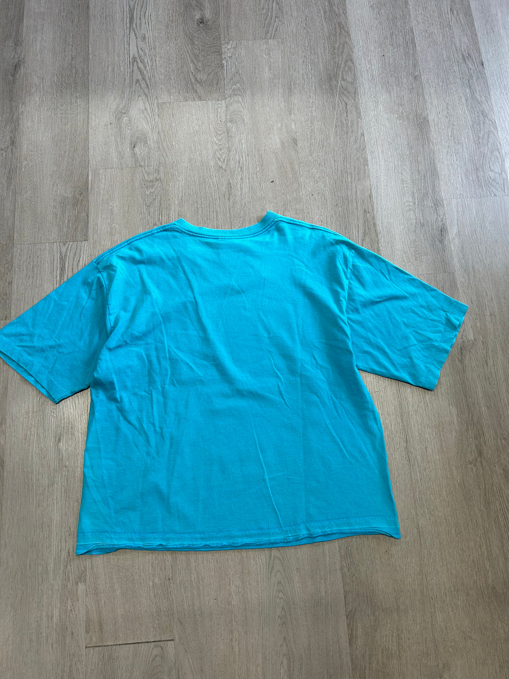 Vintage NBA Charlotte Hornets Cropped Tee