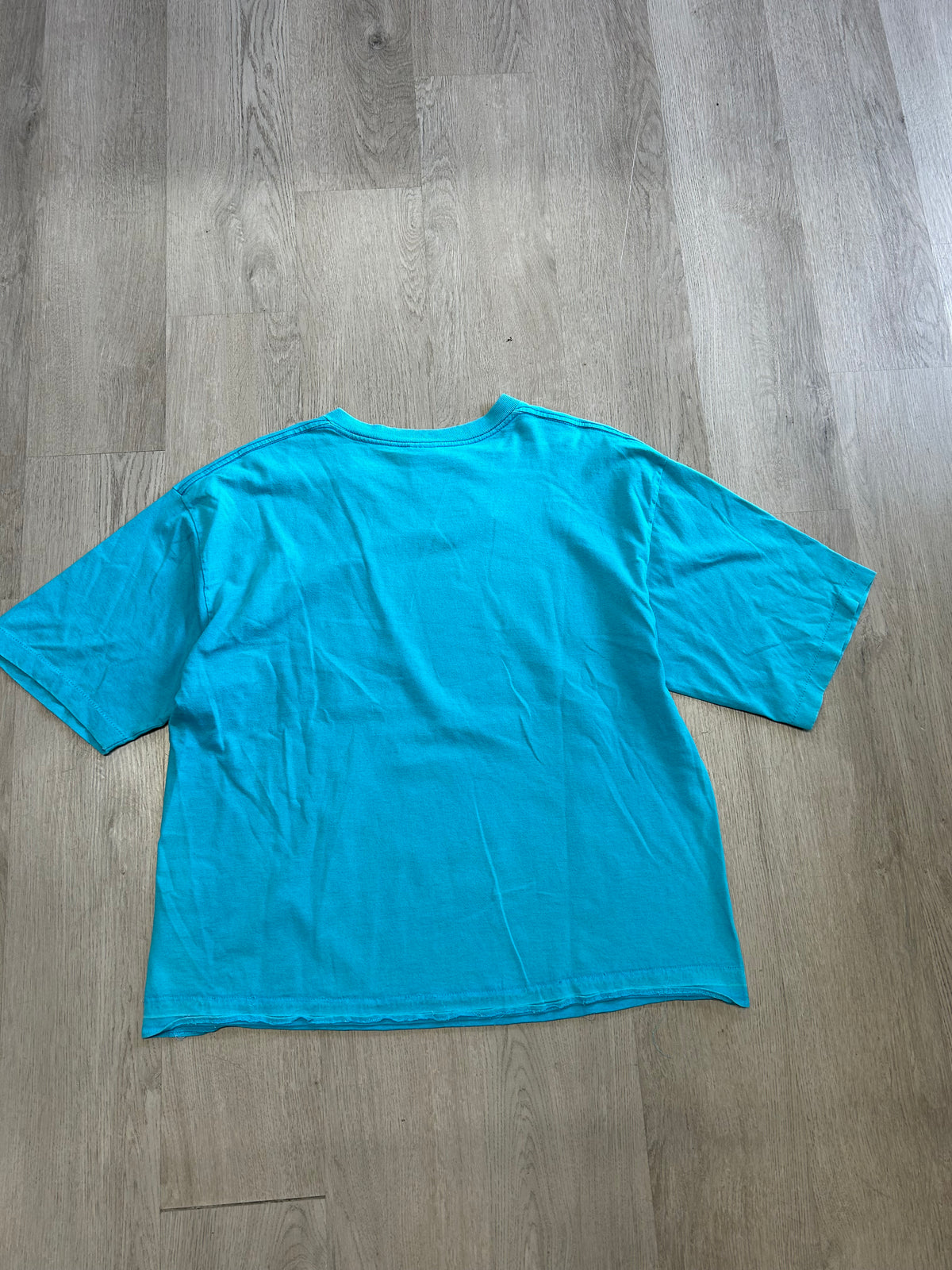 Vintage NBA Charlotte Hornets Cropped Tee