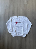 2006 Aidswalk Sweatshirt