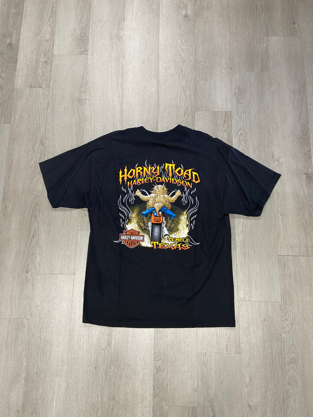 Vintage 2006 Harley Davidson Horny Toad Temple, Texas Tee
