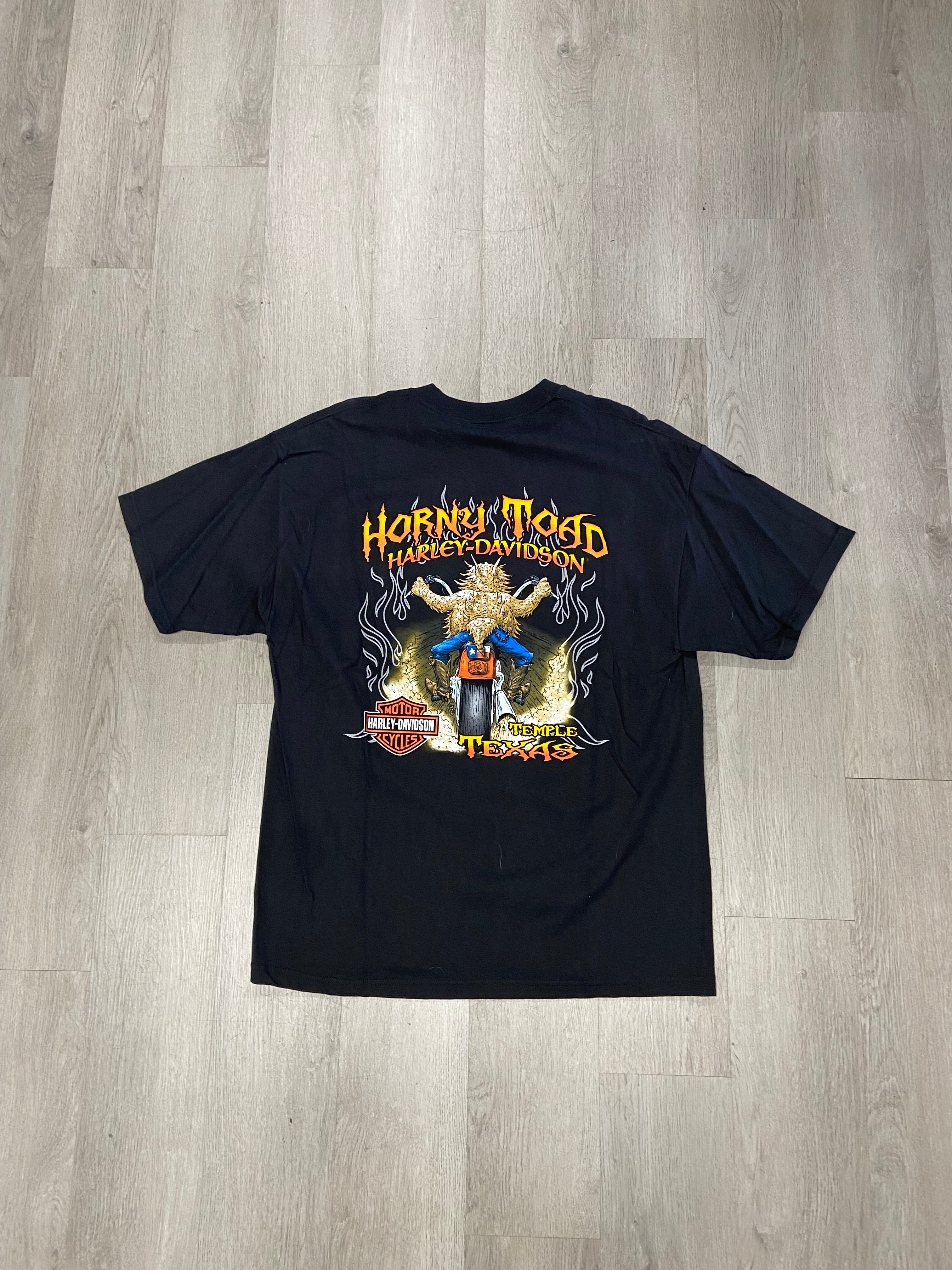 Vintage 2006 Harley Davidson Horny Toad Temple, Texas Tee