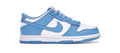 Nike Dunk Low UNC (GS)