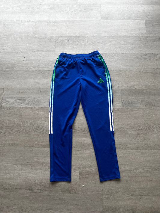 Adidas Youth Blue/Green Track Pants