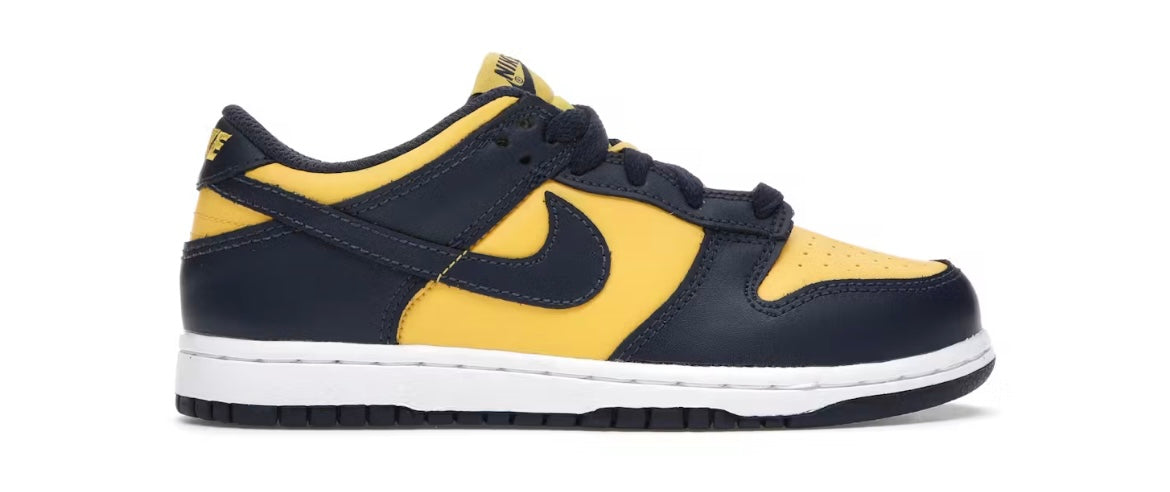 Nike Dunk Low Michigan (PS)