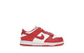 Nike Dunk Low
White Gypsy Rose (TD)